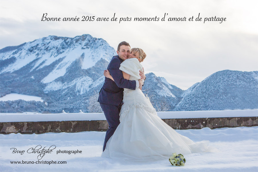 bonne-année2015w